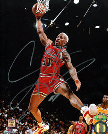 Dennis Rodman portrait