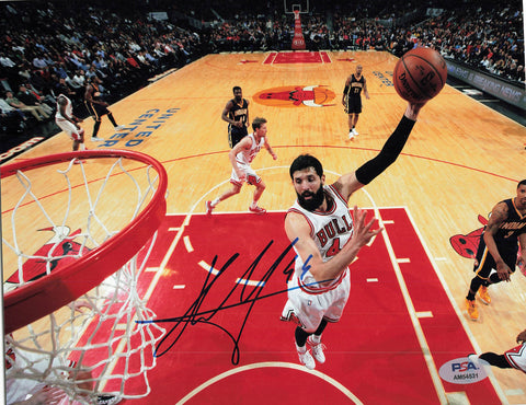 Nikola Mirotic signed 8x10 photo PSA/DNA Chicago Bulls Autographed