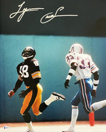 Lynn Swann portrait