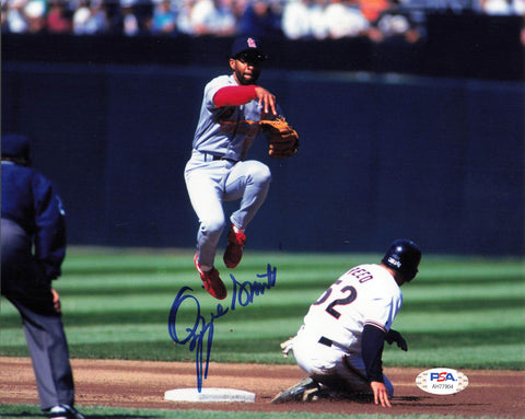 Ozzie Smith signed 8x10 photo PSA/DNA St. Louis Cardinals Autographed