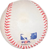 Sandy Alcantara signed baseball PSA/DNA autographed ball Marlins
