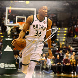 Giannis Antetokounmpo signed 11x14 photo PSA/DNA Milwaukee Bucks Autographed