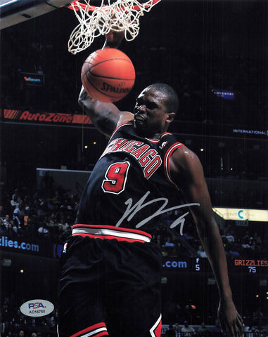 Luol Deng Signed 8x10 Photo PSA/DNA Chicago Bulls Autographed