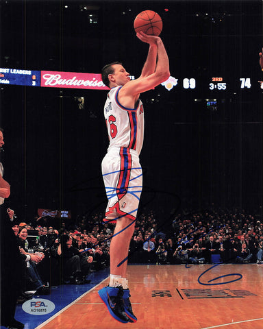 Steve Novak signed 8x10 photo PSA/DNA New York Knicks Autographed