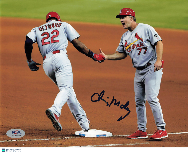 Chris Maloney St. Louis Cardinals Signed 8x10 Photo PSA
