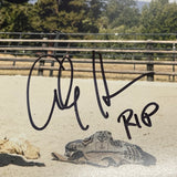 Cole Hauser Signed 11x14 Photo PSA Autographed Yellowstone