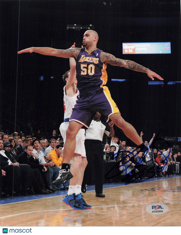 Robert Sacre Los Angeles Lakers Signed Basketball 8x10 Photo PSA