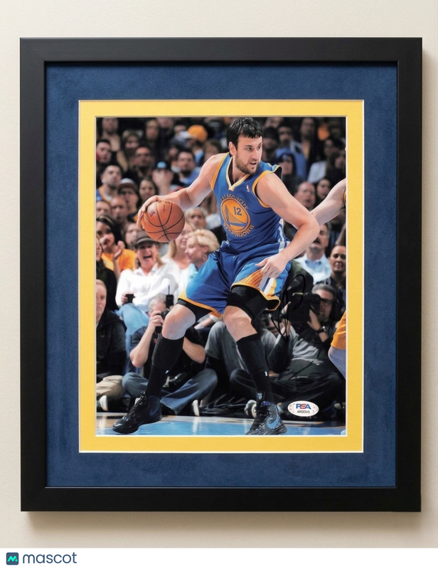 Andrew Bogut Golden State Warriors Signed 8x10 Custom Framed Photo PSA