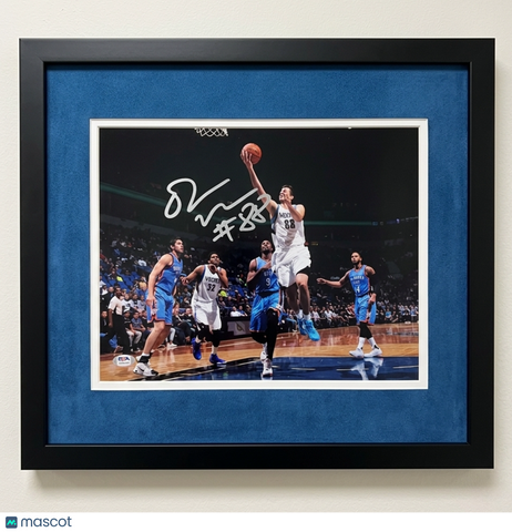 Nemanja Bjelica Minnesota Timberwolves Signed 11x14 Custom Framed Photo PSA