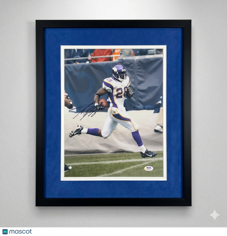 Adrian Peterson Signed Minnesota Vikings Football 11x14 Custom Framed Photo PSA