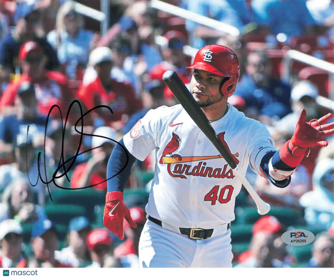 Wilson Contreras Signed 8x10 Photo PSA Autographed St. Louis Cardinals
