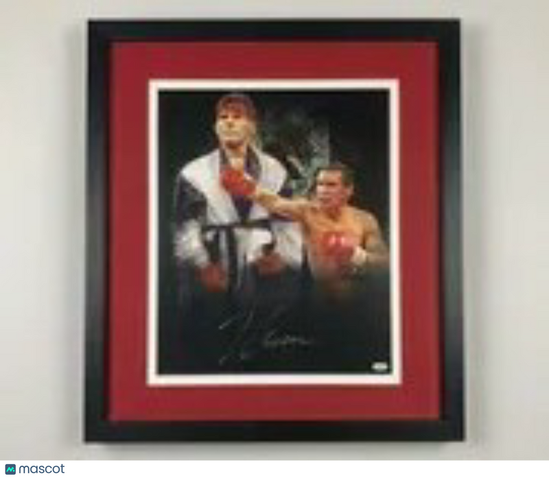 Julio Cesar Chavez Signed WBC Boxing Custom Framed 16x20 Photo JSA Auth