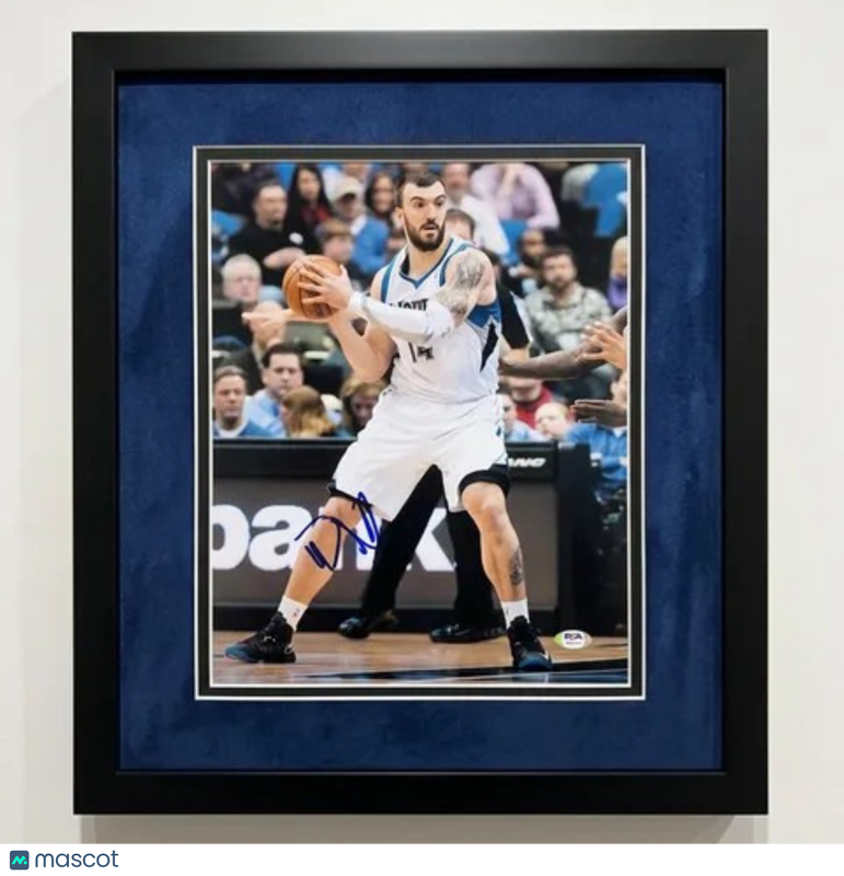Nikola Pekovic Minnesota Timberwolves Signed 11x14 Custom Framed Photo PSA