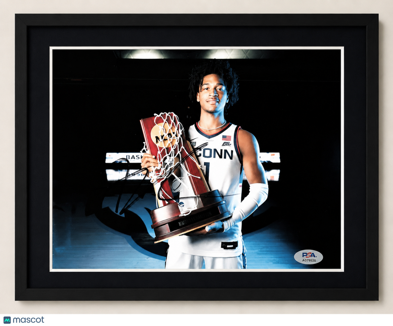 Stephon Castle UConn Huskies Signed Basketball 8x10 Custom Framed Photo PSA