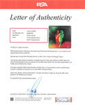 Duran Duran Signed Future Past Framed Vinyl PSA