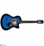 Walker Hayes Signed Guitar PSA Autographed