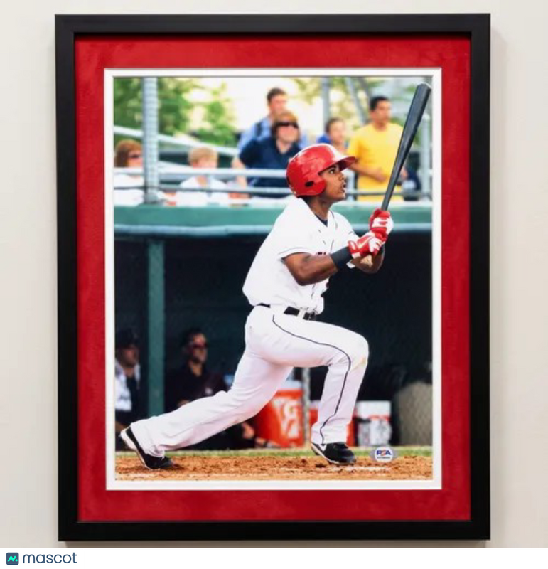 Wilmer Difo Washington Nationals Signed 16x20 Custom Framed Photo PSA
