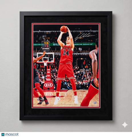 Lauri Markkanen Chicago Bulls Signed Basketball 16x20 Custom Framed Photo PSA