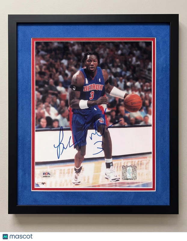 Ben Wallace Detroit Pistons Signed Basketball 8x10 Custom Framed Photo PSA