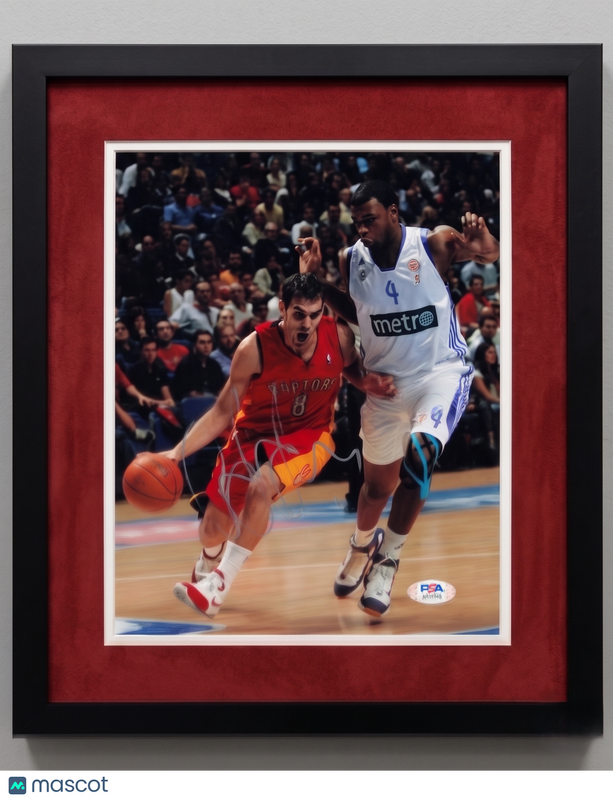 Jose Calderon Toronto Raptors Signed Basketball 8x10 Custom Framed Photo PSA