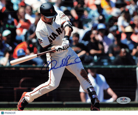 Chase d'Arnaud San Francisco Giants Signed 8x10 Photo PSA