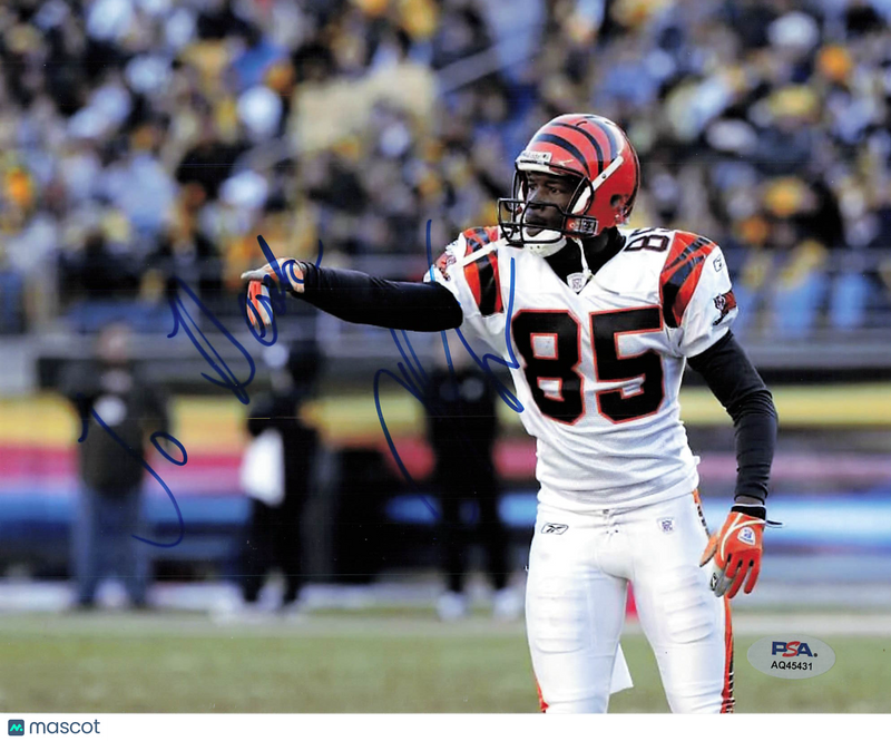 Chad Johnson Signed Cincinnati Bengals Football 8x10 Photo PSA Autographed