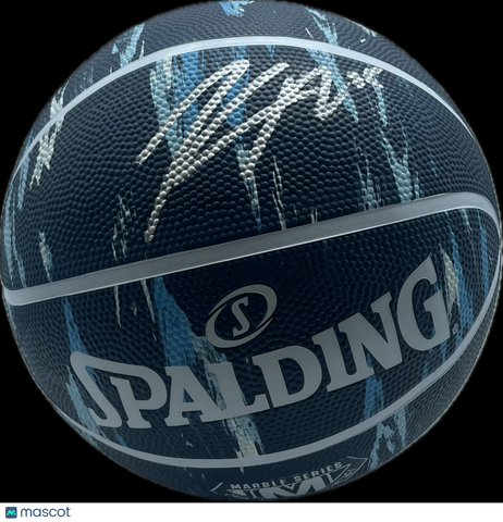Kendrick Nunn Signed Basketball Autographed Miami Heat