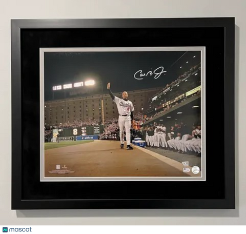 Cal Ripken Jr Baltimore Orioles Signed 16x20 Custom Framed Photo PSA AUTH