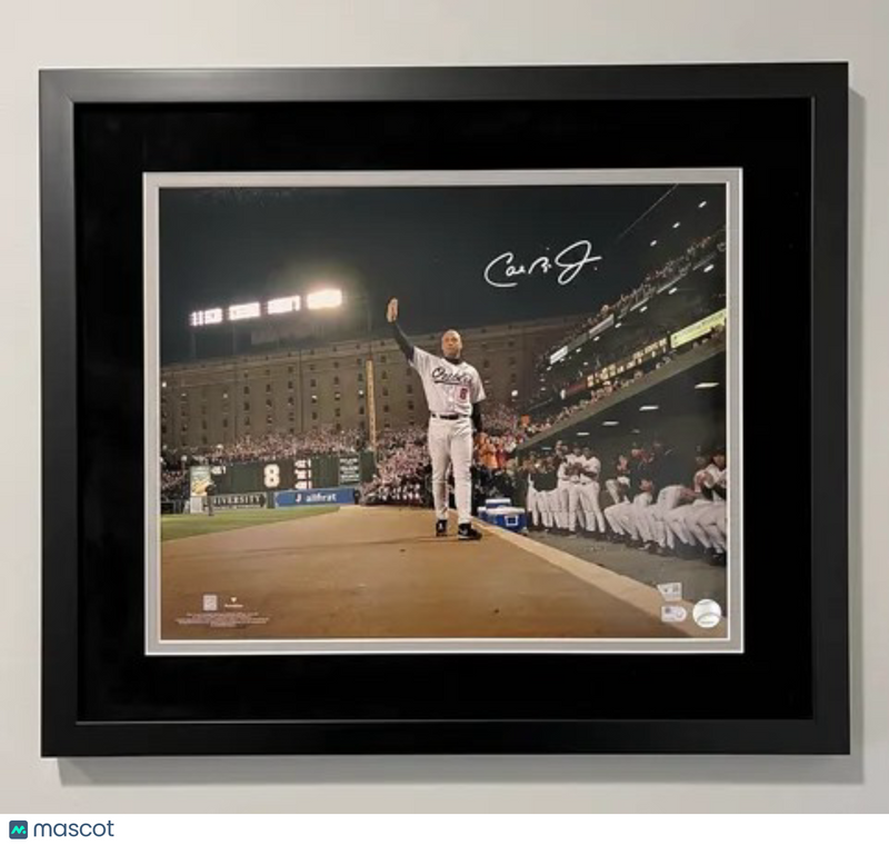 Cal Ripken Jr Baltimore Orioles Signed 16x20 Custom Framed Photo PSA AUTH