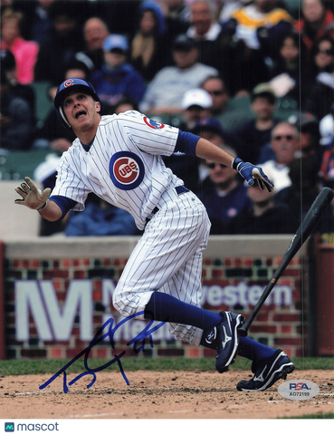Tony Campana Chicago Cubs Signed 8x10 Photo PSA
