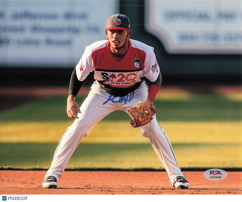 Gabriel Arias Fort Wayne TinCaps Signed 8x10 Photo PSA