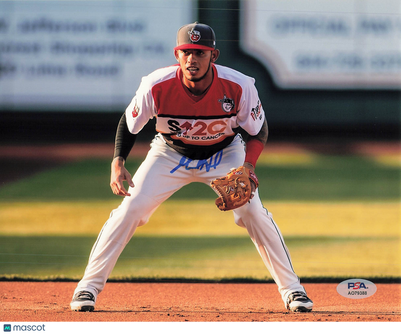 Gabriel Arias Fort Wayne TinCaps Signed 8x10 Photo PSA