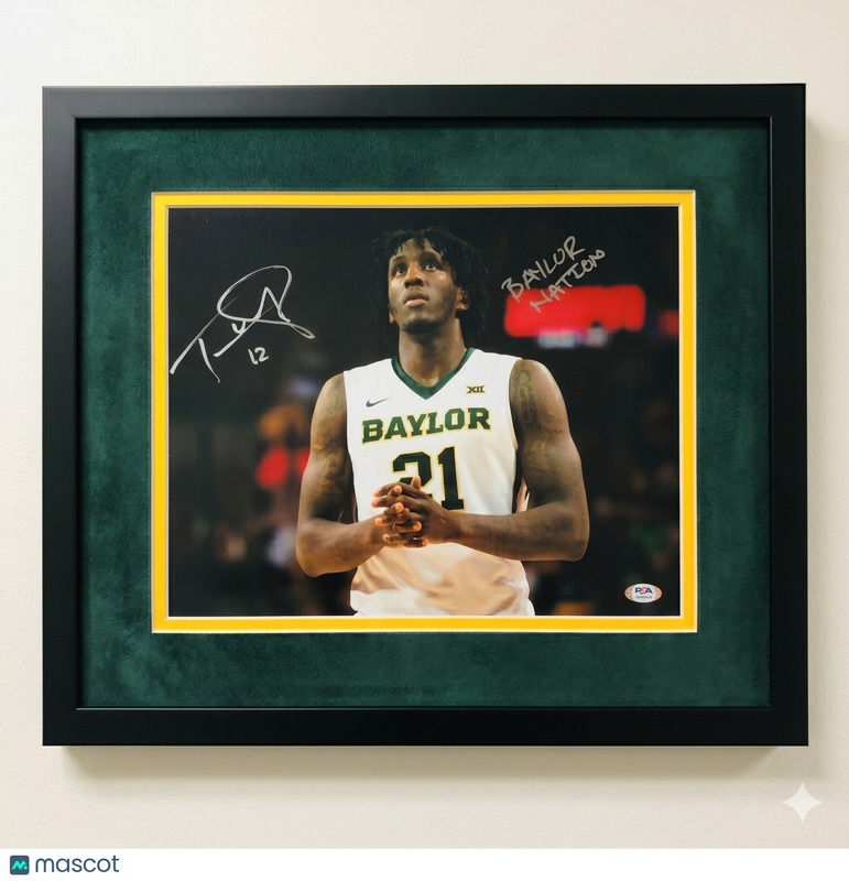 Taurean Prince Baylor Bears Signed Basketball 11x14 Custom Framed Photo PSA