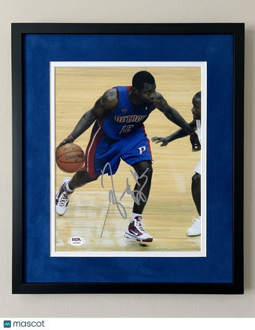 Will Bynum Detroit Pistons Signed Basketball 8x10 Custom Framed Photo PSA