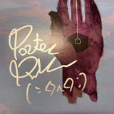 Porter Robinson Signed Divinity Sad Machine Custom Framed Vinyl PSA Album Auth