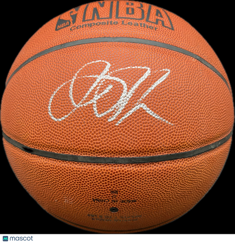 Jason Richardson Golden State Warriors Signed Basketball