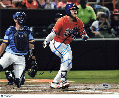 Seth Beer Clemson Tigers Signed 8x10 Photo PSA