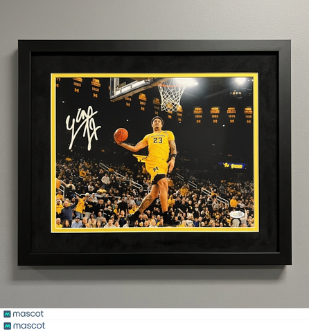 Yaxel Lendeborg Michigan Wolverines Signed Basketball 11x14 Framed Photo JSA