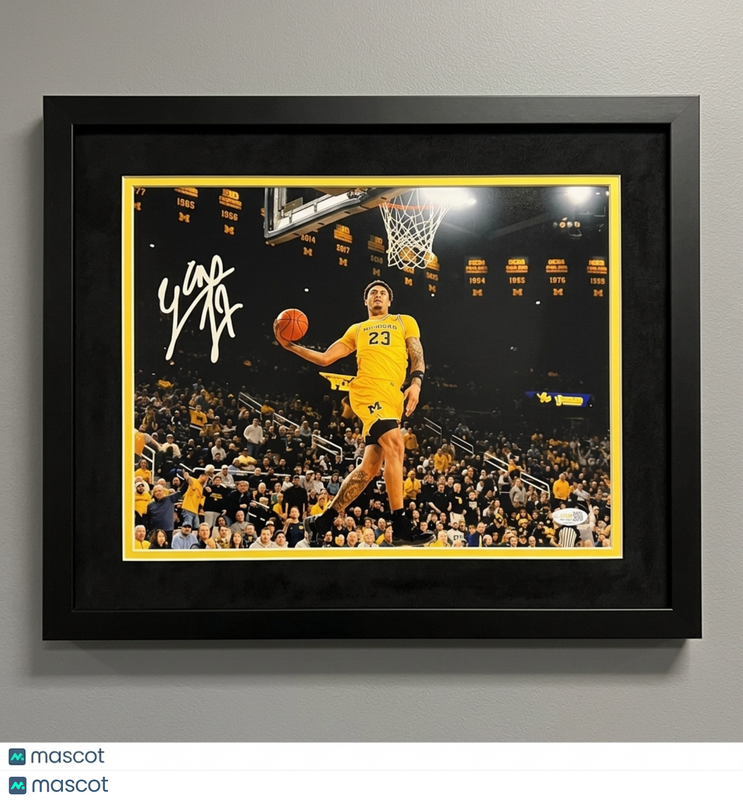 Yaxel Lendeborg Michigan Wolverines Signed Basketball 11x14 Framed Photo JSA