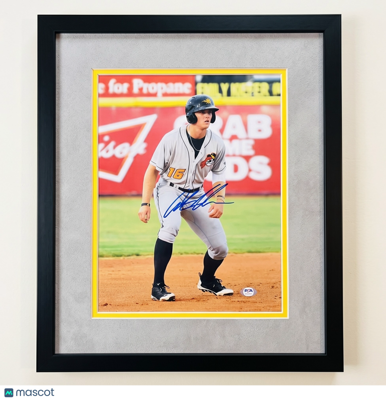 Austin Meadows West Virginia Black Bears Signed 11x14 Custom Framed Photo PSA