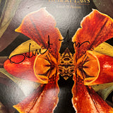 Hubert Laws Signed Land of Passion Custom Framed Vinyl Album PSA