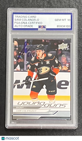2024-25 Upper Deck Series 1 Hockey #240 Sam Colangelo Signed Card Auto 10 PSA Sl