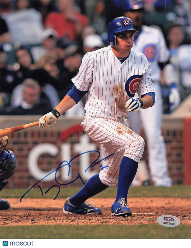 Tony Campana Chicago Cubs Signed 8x10 Photo PSA