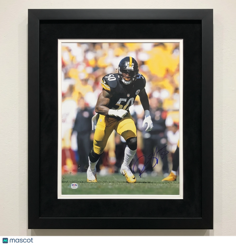 Ryan Shazier Signed Pittsburgh Steelers 11x14 Custom Framed Photo PSA Auth