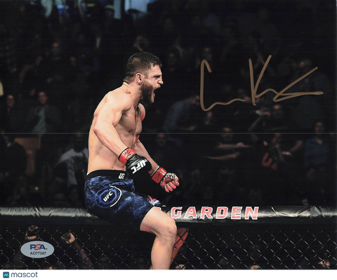 Calvin Kattar Signed MMA 8x10 Photo PSA Autographed