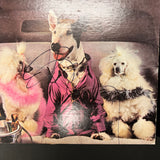 Rick Springfield Signed Success Hasn't Spoiled Me Yet Custom Framed Vinyl PSA