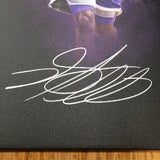 De'Aaron Fox signed 16x20 canvas PSA/DNA Sacramento Kings Autographed