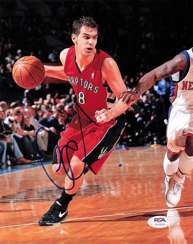 Jose Calderon signed 8x10 photo PSA/DNA Toronto Raptors Autographed