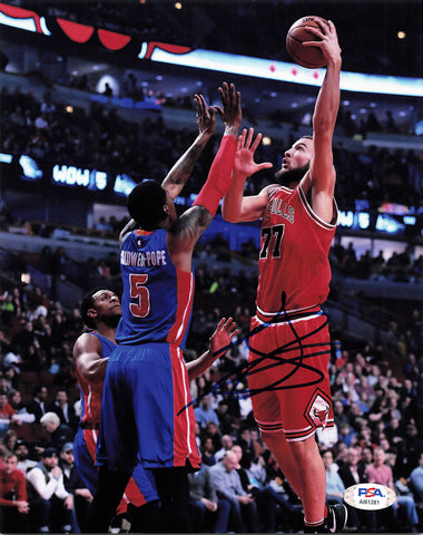 JOFFREY LAUVERGNE signed 8x10 photo PSA/DNA Chicago Bulls Autographed