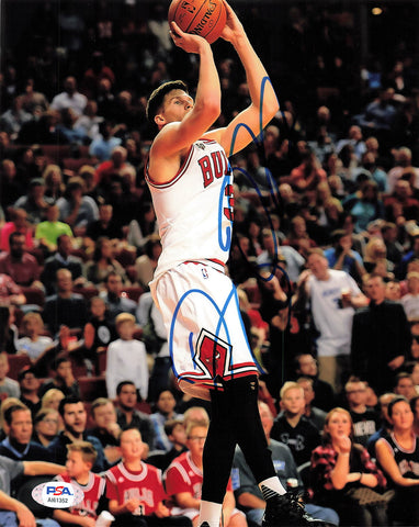 Doug McDermott Signed 8x10 Photo PSA/DNA Chicago Bulls Autographed